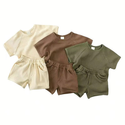 Olive Branch Summer Set